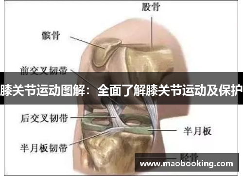 膝关节运动图解：全面了解膝关节运动及保护